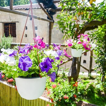 Holiday House Ruocco マイオーリ エクステリア 写真