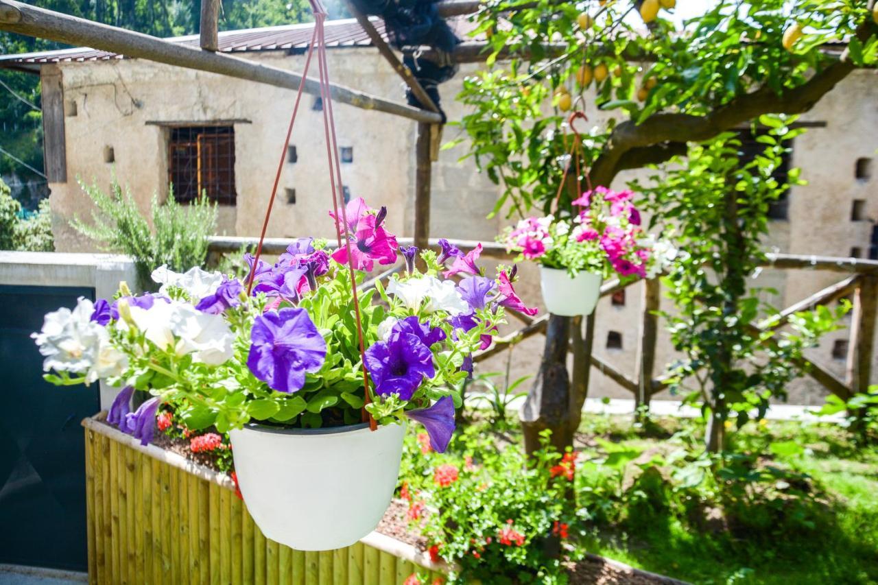 Holiday House Ruocco マイオーリ エクステリア 写真